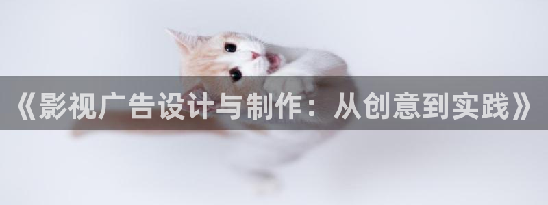 《四庫影視》電視劇在線觀看-好看影院：《影視廣告設(shè)計(jì)與制作：從創(chuàng)意到實(shí)踐》
