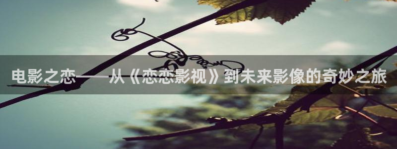 好看影院：電影之戀——從《戀戀影視》到未來影像的奇妙之旅